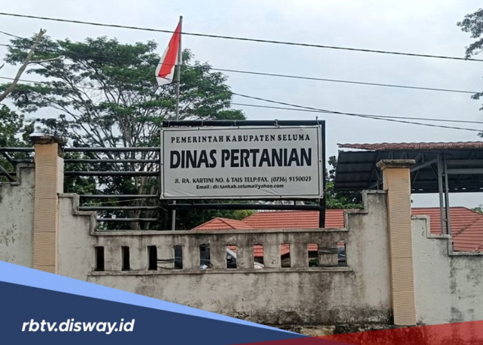 Penuhi Persyaratannya dan Dapatkan Beasiswa SDM Sawit 2025, Tersedia 4.000 Kuota Pendaftaran 