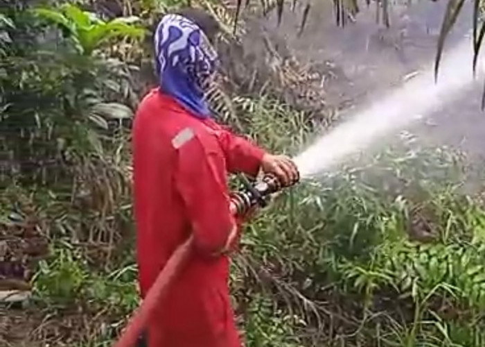 5 Hektare Lahan Gambut di Seluma Terbakar, PBK Kota Bengkulu  Bantu Turun Ke Seluma 