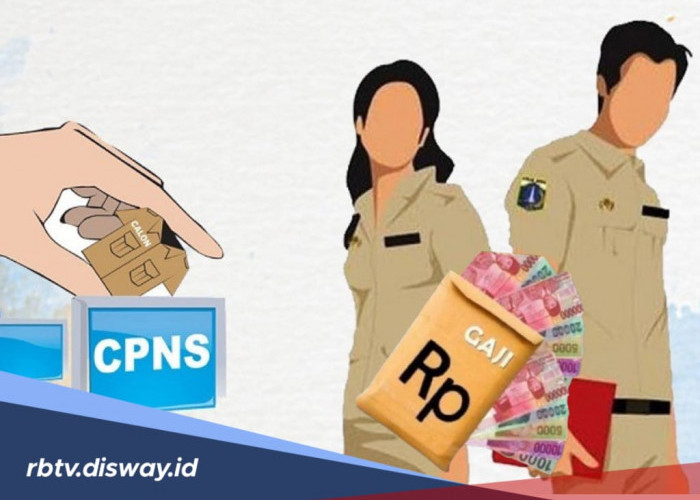 SK Sudah Ditangan, Segini Gaji Awal CPNS 2025, Lengkap Rincian Tunjangan 