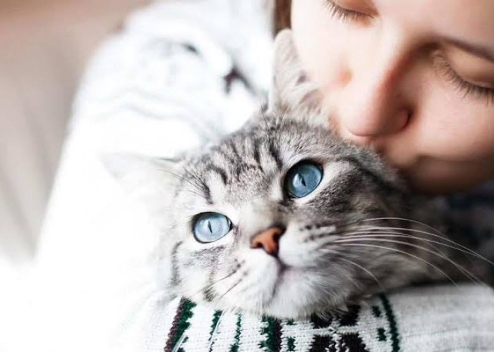 Baik Untuk Kesehatan Fisik dan Mental, Ini 6 Manfaat Memelihara Kucing di Rumah