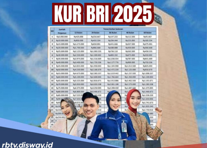 Tabel KUR BRI 2025 Pinjaman Rp30 Juta untuk Modal UMKM Tenor Angsuran 3 Tahun 