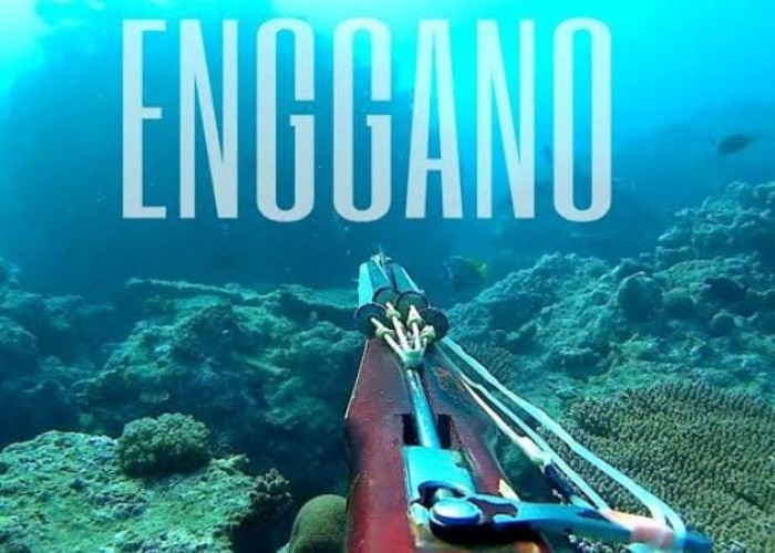 Pulau Enggano Bengkulu Simpan 11 Titik Harta Karun Bawah Laut, Ini Lokasinya   