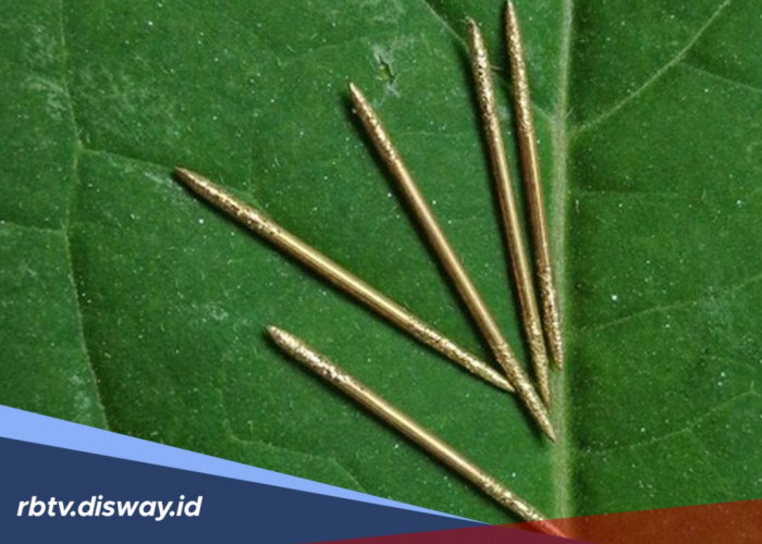 Ngeri! Ini Dosa Bagi Orang yang Pakai Susuk, jika Terlanjur Pakai Begini Cara Bertaubatnya