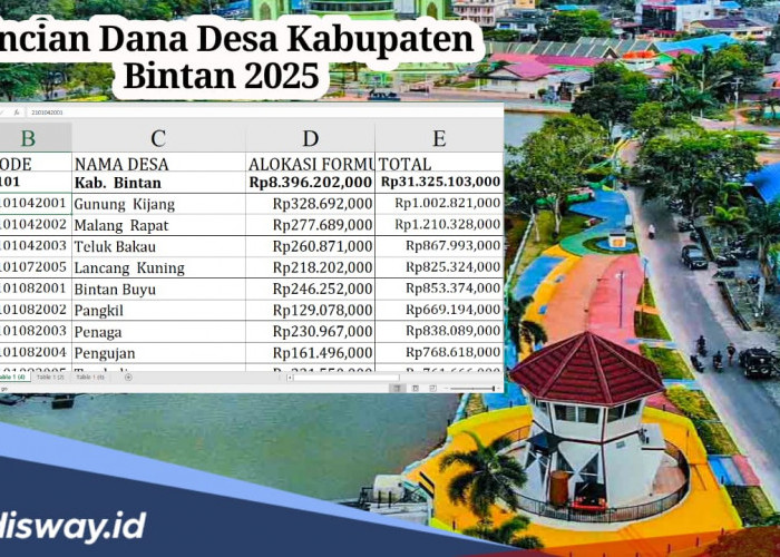 Rincian Dana Desa Kabupaten Bintan Tahun 2025, Lengkap untuk 26 Desa 