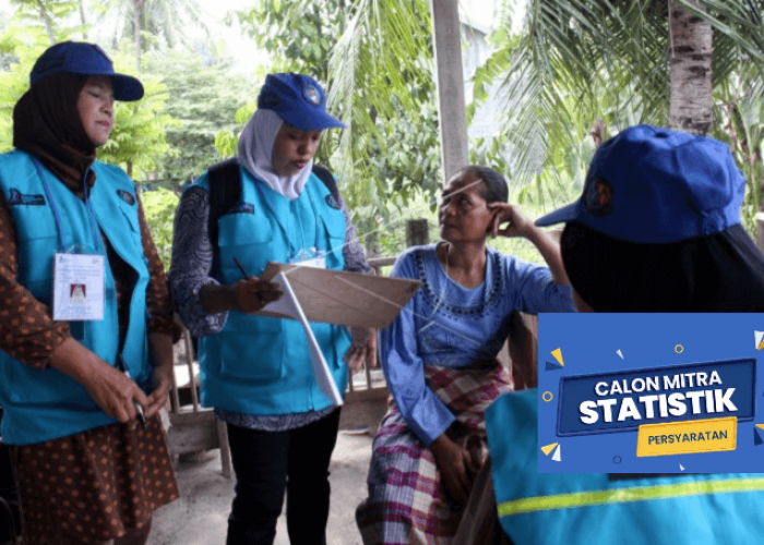 Selain Gaji Pokok, Ini Tunjangan yang Diterima Mitra Statistik BPS 2026 