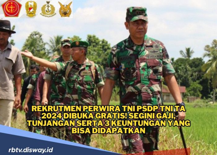 Rekrutmen Perwira PSDP TNI TA 2024 Dibuka Gratis, Cek Gaji dan Tunjangan yang Diterima