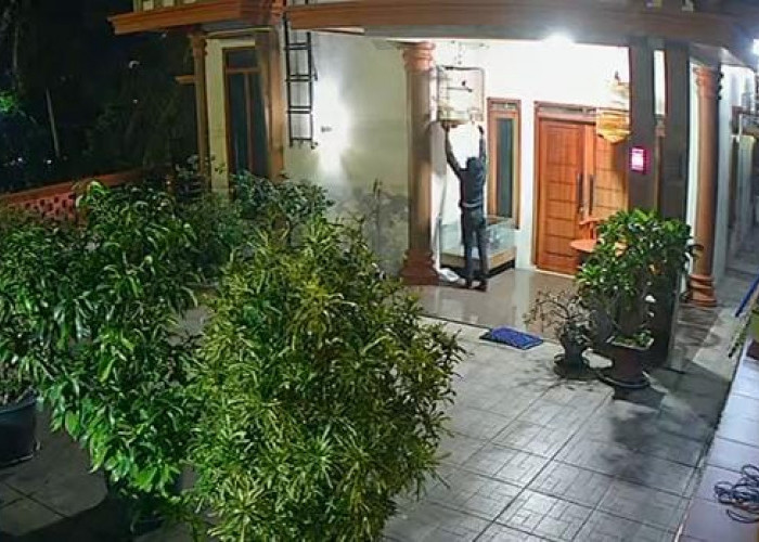 Ketua Parpol Kehilangan Burung, Ada Rekaman CCTVnya, Pelaku Sedang Diburu