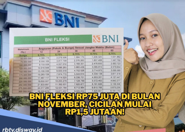 Ajukan BNI Fleksi November Pinjaman Rp75 Juta, DANA Bisa Digunakan untuk Healing 