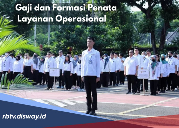 Besaran Gaji dan Formasi Penata Layanan Operasional Badan Pusat Statistik, Tertarik Daftar? 