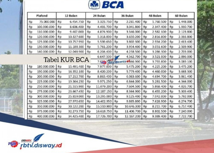 Tabel KUR BCA 2024 Pinjaman Rp 100 Juta, Ini Update Syarat dan Cara Pengajuannya