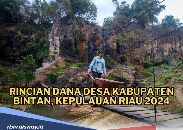Rincian Dana Desa Kabupaten Bintan, Kepulauan Riau 2024! 10 Desa Dapat Alokasi Dana Rp 1 Miliar