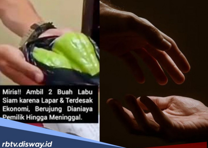 Tragedi Labu Siam Jadi Tamparan untuk Umat Islam, Begini Hukum Bertetangga dalam Islam 