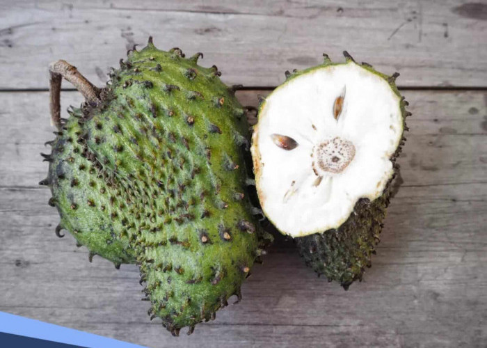 Jarang Disadari, Ini 7 Manfaat Buah Sirsak untuk Kesehatan Tubuh