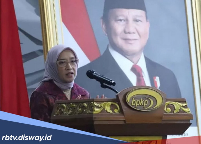 PPPK Paruh Waktu Bisa Diberhentikan Meski Sudah Diangkat, Ini 12 Alasan Berdasar SK Kemenpan RB