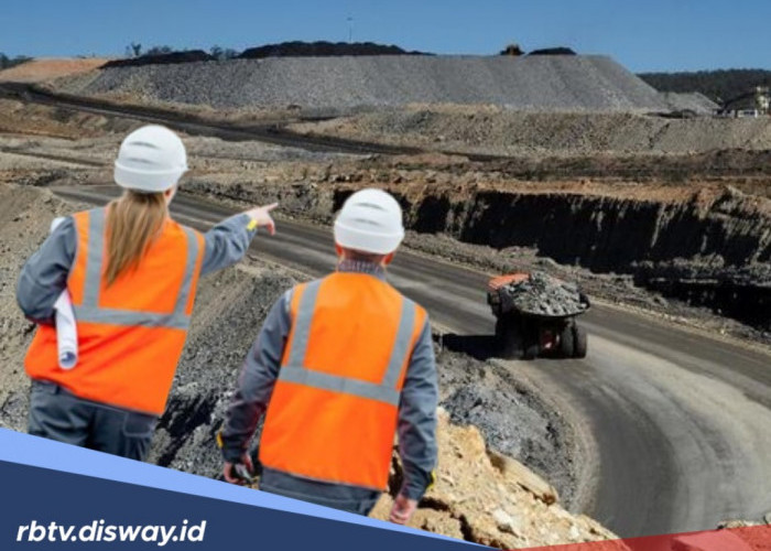 Daftar 8 Tambang Batu Bara Terbesar di Indonesia Akhir 2025