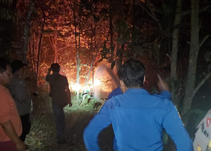 Dalam Semalam, 7 Hektar Lahan Gambut di Seluma Terbakar