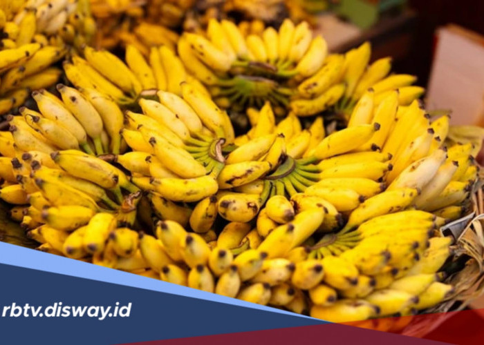 Jangan Asal Simpan, Ini Rahasia Menyimpan Pisang di Rumah agar Tidak Cepat Busuk