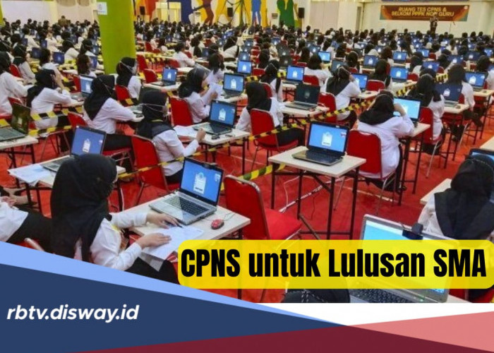 CPNS 2024 Sudah Dibuka, Ini Daftar Posisi yang Tersedia untuk Lulusan SMA