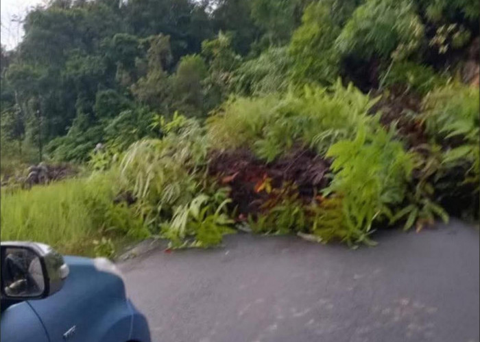 Breaking News: Jalan Curup Muara Aman Tertimbun Longsor, Lokasi di Desa Talang Ratu Tak Bisa Dilintasi