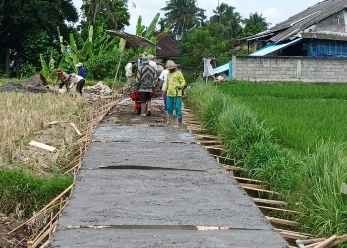 Rincian Dana Desa di Kabupaten Maluku Tenggara, Desa Mana yang Paling Banyak Dananya?