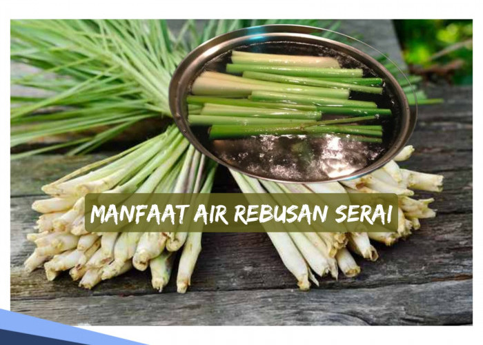 Baru Tahu, Ini Manfaat Minum Air Rebusan Serai untuk Tubuh, Bukan Sekadar Bumbu Masakan