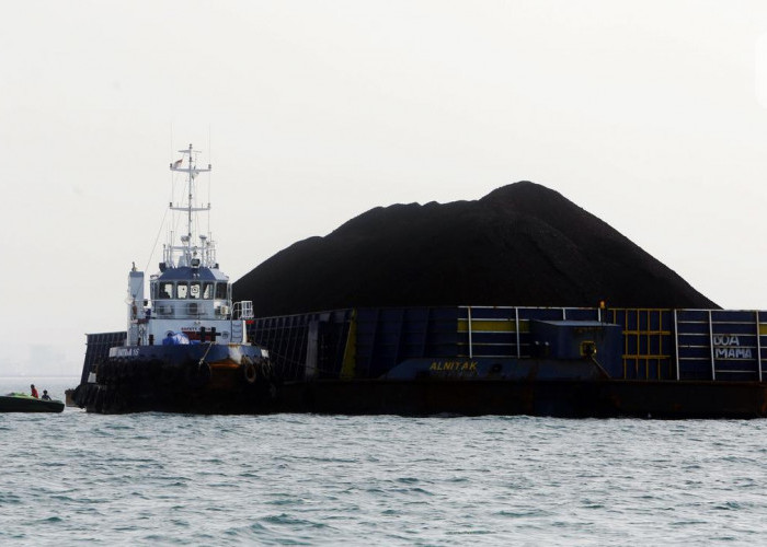 Harta Karun Emas Hitam 