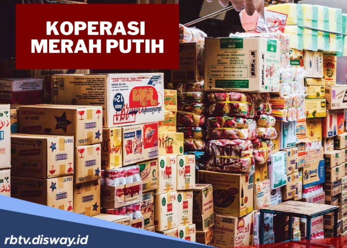 Tertarik Jadi Pengawas Koperasi Merah Putih? Ini Syaratnya