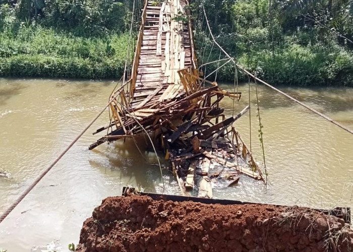 Jembatan Gantung Putus, Akses Dua Desa Terganggu, Aktivitas Perkebunan Lumpuh
