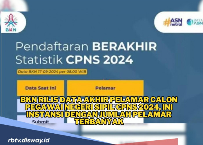 Data Akhir Pelamar CPNS 2024, Instansi Ini Tembus 567 Ribu Pelamar