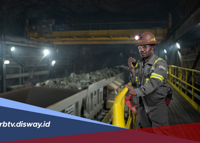PT Freeport Indonesia Buka 91 Lowongan Kerja, Ada 17 Posisi untuk Fresh Graduate