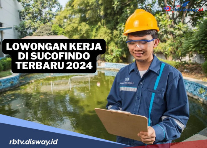 Ayo Lamar! PT Sucofindo Buka Lowongan Kerja Terbaru 2024, Ini Link dan Syarat Pendaftaran