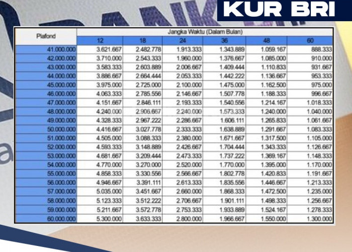  Pinjaman Rp 40 Juta Cair di KUR BRI 2024 Asal Ada KTP dan SIU, Berikut Tabel Angsurannya 