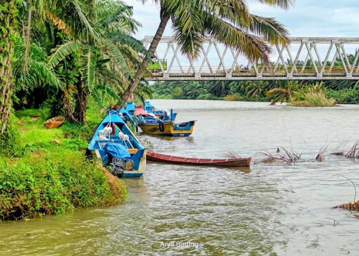 Nelayan Seluma Pilih Parkir Kapal di Bawah Jembatan Dibanding di Pelabuhan Perikanan Nusantara