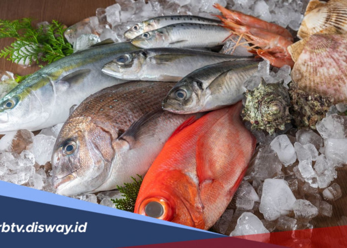 5 Rekomendasi Ikan yang Tinggi Protein, Mudah Dijumpai dan Harganya Murah