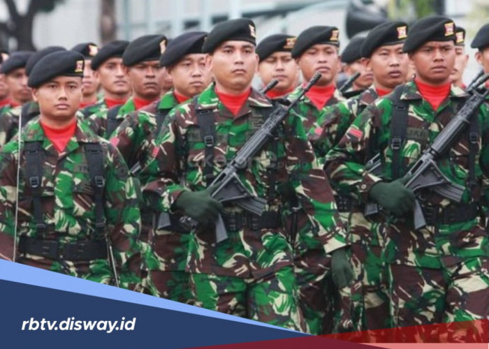 Seleksi Pa PK TNI 2024 Dibuka, Ini Link Kebutuhan untuk Pendaftarannya, Lulus Langsung Pangkat Letnan Dua