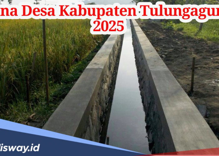 Dana Desa Kabupaten Tulungagung 2025 untuk 257 Desa, Ini Rinciannya Per Desa