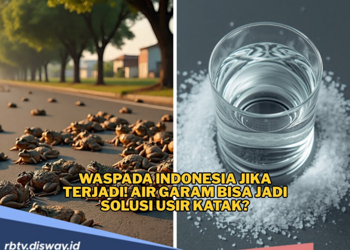 Langkah Antasipasi yang Dilakukan Warga RI jika Terjadi Hujan Katak Mirip di Brazil, Solusi Usir Katak
