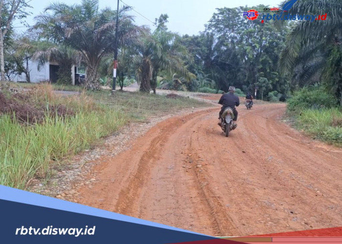 Jalan Penghubung 4 Desa Kecamatan Air Rami Belum Tersentuh Aspal