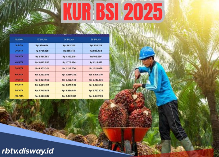 KUR BSI 2025, Segini Angsuran Per Bulannya Bagi PPPK yang Pinjam Rp35 Juta untuk Modal Kebun Sawit