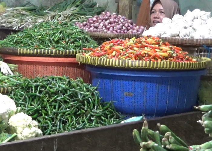 Dampak Kemarau, Harga Beras hingga Sayuran di Pasar Tradisional Modern Bengkulu Melonjak 