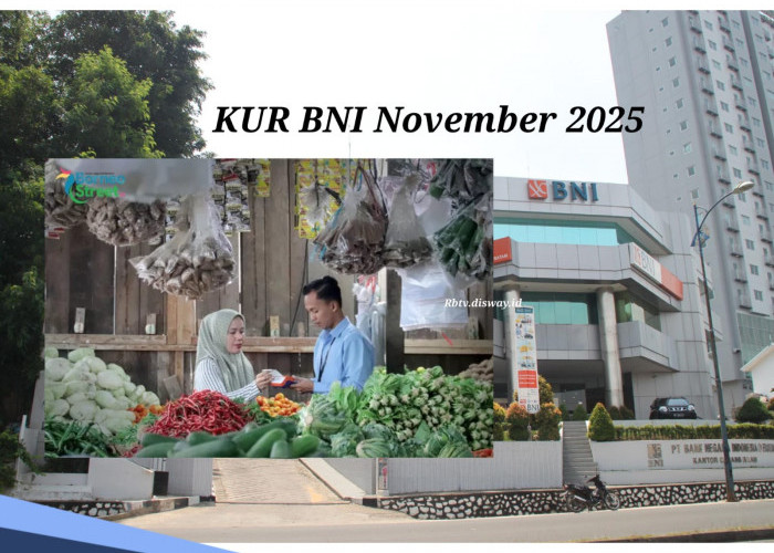 Pinjaman KUR BNI November 2025, Silakan Pilih Mau Cara Offline atau Online, Ikuti Petunjuk Ini