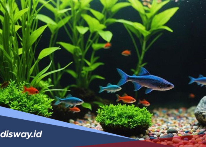 Panduan Memelihara Ikan Hias untuk Pemula, Apa saja Rahasianya?