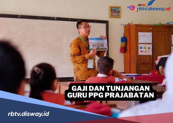 Banyak yang Penasaran, Ternyata Segini Gaji dan Tunjangan Guru PPG Prajabatan Tahun 2024