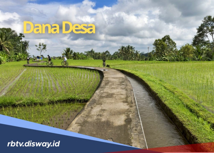 Rincian Dana Desa Kabupaten Klungkung Tahun 2025, Sebesar Rp49,5 Miliar, Cek Desamu