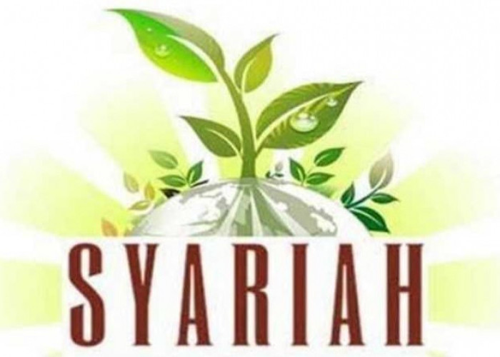 9 Pinjaman Syariah Online Terdaftar OJK, Pinjam Uang Cepat Tanpa Riba, Mantap!