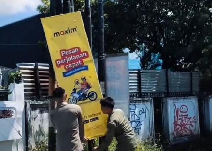 Sejumlah Reklame Liar di Kota Bengkulu Disikat Satpol PP 