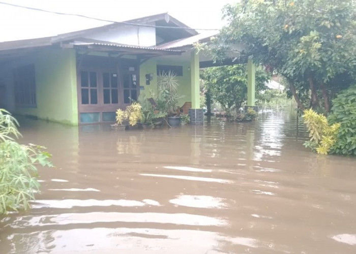 Hujan Deras Sepanjang Malam, Ratusan Rumah Terendam Banjir, Warga Kabupaten Diminta Waspada