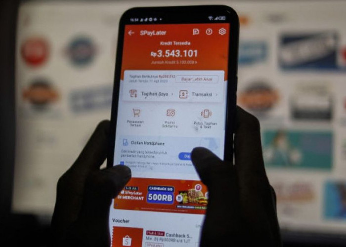 Bukan hanya Ditagih DC, tapi Ini Sederet Risiko Telat Bayar Shopee PayLater