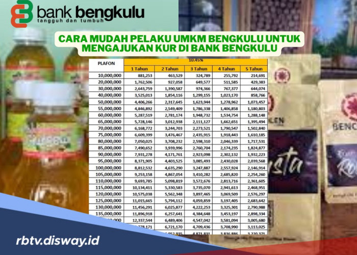 Cara Pelaku UMKM Bengkulu untuk Mengajukan KUR di Bank Bengkulu, Proses Cair Cepat 