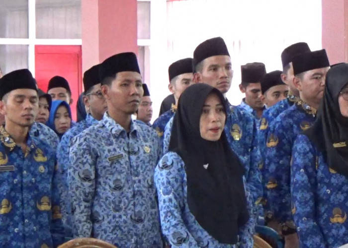 1.063 Formasi P3K Guru untuk Bengkulu Utara, Termasuk Guru PAUD dan TK
